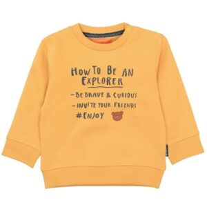 STACCATO Sweatshirt honey