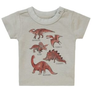 Noppies T-shirt Momence Willow Grey